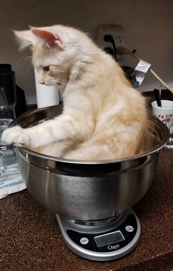 Auggie first wigh - 3 months